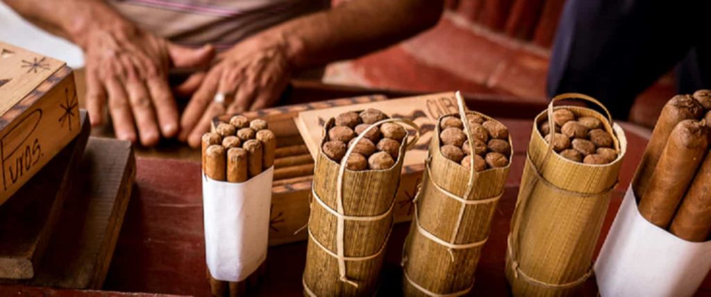 A collection of Cuban cigars, each enfolded in the celebrated Havana leaf