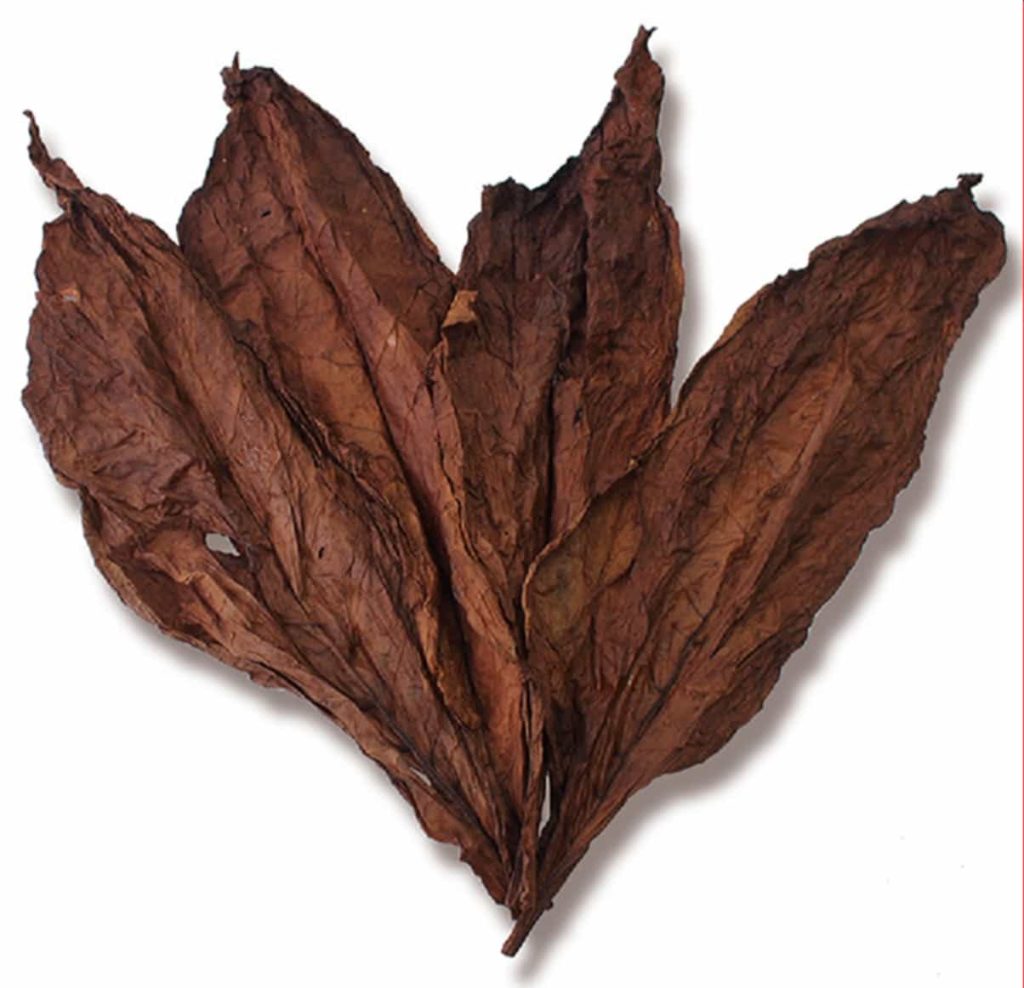 Tobacco Brown Kentucky: A Legacy Unfurled in Every Leaf